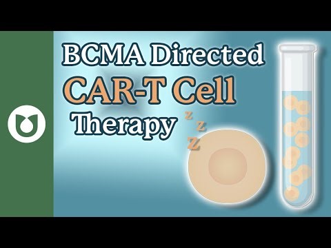 If a BCMA CAR-T Stops Working, Can Myeloma Patients Try Another Target?” #myeloma