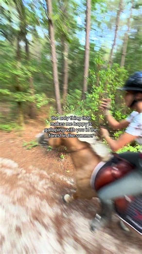 Galloping in the Forest: A Summer Joy