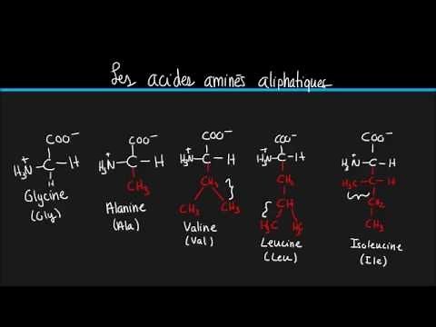 Biochimie #2 Les 20 acides aminés principaux