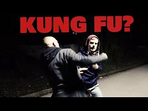APPLICATIONS OF CHOY LEE FUT KUNG FU