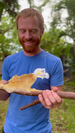 312K views · 3.1K reactions | Fresh honeycomb on a stick courtesy of the Bees | How’s Your Day Honey | Facebook