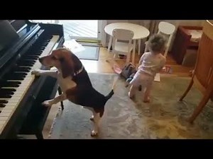 76K views · 1.8K reactions | How we feel about it being Friday. ...