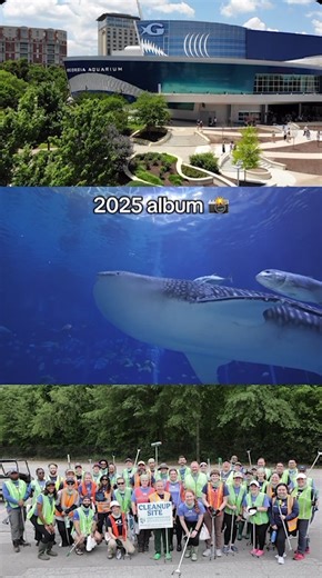 Memorable Moments at Georgia Aquarium 2025