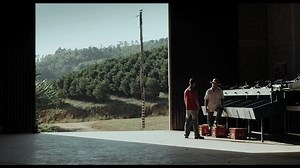 Arabia: Trailer oficial