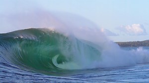 64K views · 680 reactions | One of Australia's heaviest competition waves is making its triumphant return. Shark Island Challenge is BACK - and we're live streaming it. Stay tuned. | The Sporting News Australia | Facebook