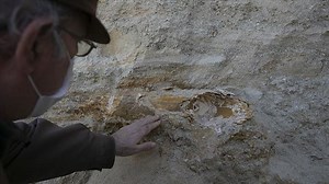 Mammoth fossil found in northwestern Turkey