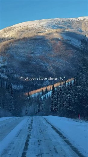 📍Fairbanks, Alaska☃️ Winter guaranteed❄️ #explorefairbanks #fairbanks #fairbanksalaska #fairbanksak #winter #winterseason #aurora #alaska 🎥 @raijonirmal | Explore Fairbanks Alaska