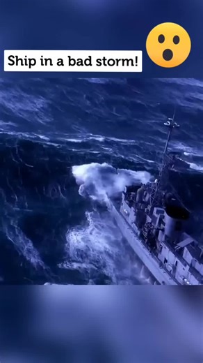 Navigating a Ship Through a Dangerous Storm