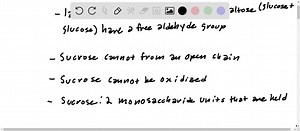 Why are lactose and maltose reducing sugars, but sucrose is not? (15.5) | Numerade