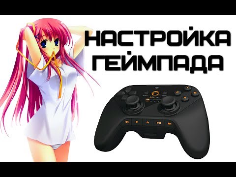 How to configure gamepad for all games on your computer? Xpadder