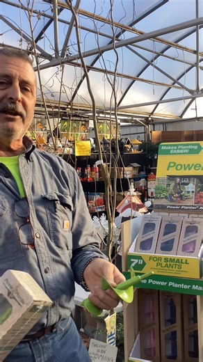 Late Fall Update & planting specials! | Parks Garden Center