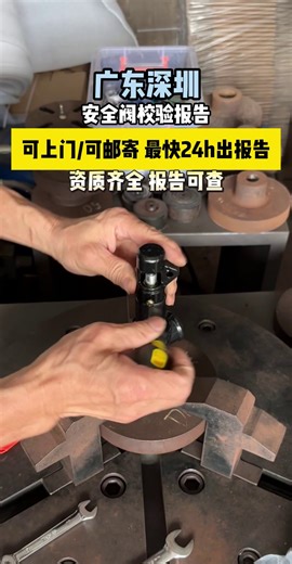 安全阀校验报告