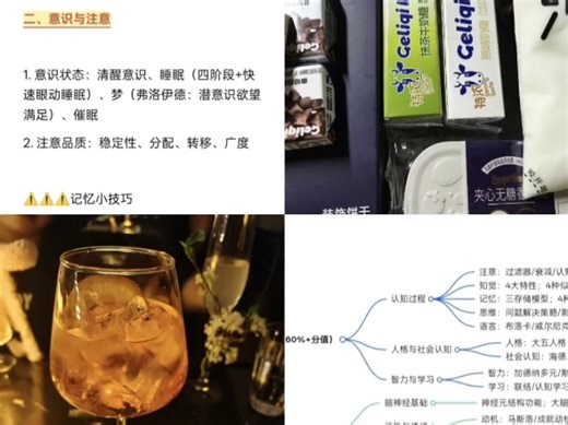 北师大心理学 ! 优先级分层 核心考点提炼