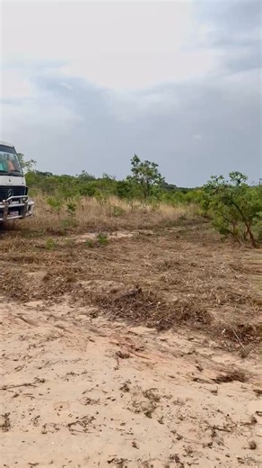 New project | Tembo Chris