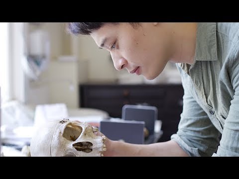 Celebrating Cambridge’s LGBT+ scientists and engineers