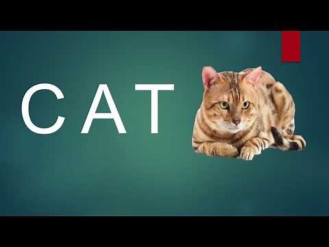 Three Letter Words with at phonic sound BAT CAT RAT MAT HAT SAT FAT, Phonic sound 3 Letters word