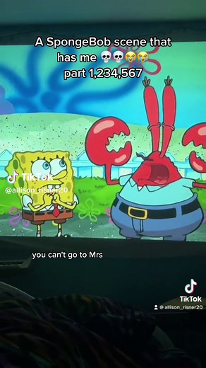 Allison Risner on TikTok