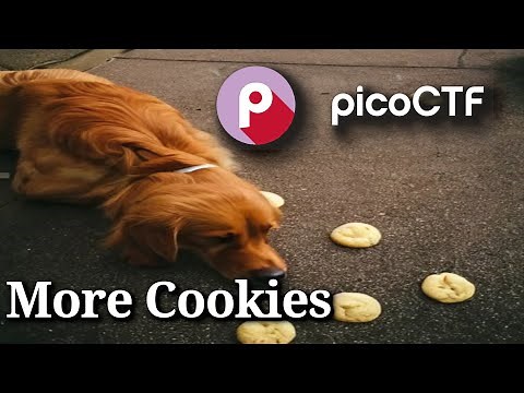 PicoCTF Walkthru [103] - More Cookies
