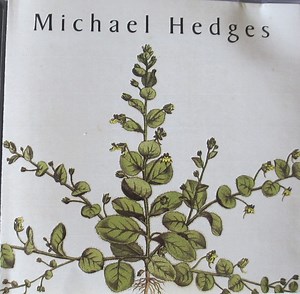 Michael Hedges - Taproot