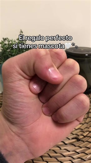 Más información en mi perfil 🤍🐾‼️#mascotas #regalo #perros #recuerdos