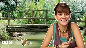 The Minibeast That Lives in the Water