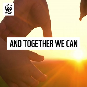 1.6K views · 41 reactions | Right now, our world needs our help like never before. Nature is in freefall: we’re destroying our forests, polluting our rivers and oceans, and causing devastating changes to the climate. There is hope. Donate to WWF and together, we can bring our world back to life. | WWF UK | Facebook