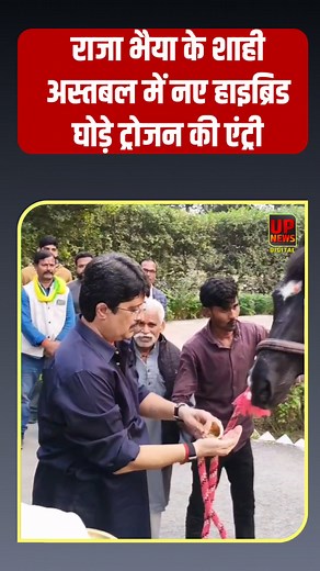 834K views · 26K reactions | राजा भैया के अस्तबल में हुई नए घोड़े ट्रोजन की एंट्री, लाखों में है कीमत #Rajabhaiya Raja Bhaiya Youth Brigade #RaghurajPratapSingh #JansattaDalLoktantrik | UP News Network | Facebook