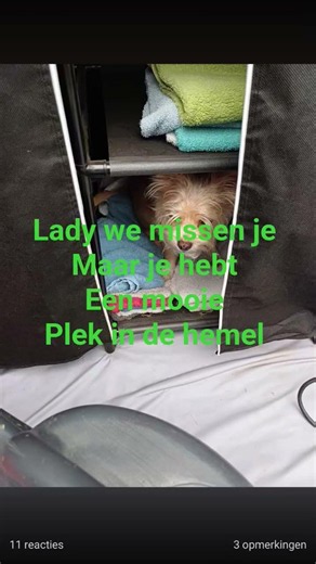 aboneer lady we missen je