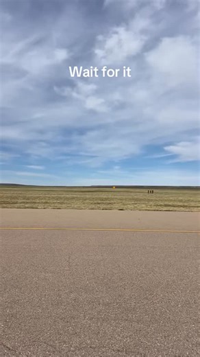 Two thunderbirds doing an opposing pass. #thunderbirds #f16 #airshow #colorado #pueblowingsofpride #aviation #planes | Colorado Wild Adventures