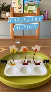 84K views · 218 reactions | Watch until the end for some very satisfying capillary action.  KiwiCo delivers amazing science & art projects to inspire hands-on learning and exploration for kids of all ages. Sign up for our emails to get 40% off your 1st month's subscription. | KiwiCo | Facebook