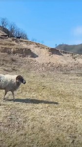 65K views · 3K reactions | Congratulations on graduating my university #comedy #laughter #hilarious #jokes #haha | Uncle Dijon | Facebook