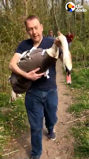 Swan chooses her new group of friends to be her real family ❤️ | The Dodo