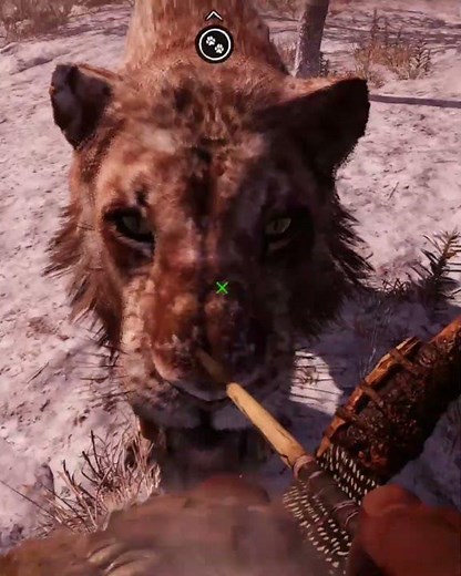 Far cry Primal