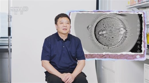 《生命如何影响生命》第1集：多能干细胞具有自我更新的能力和几乎无限的分化潜能