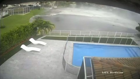 Private jet crashes into pond killing two onboard in Florida