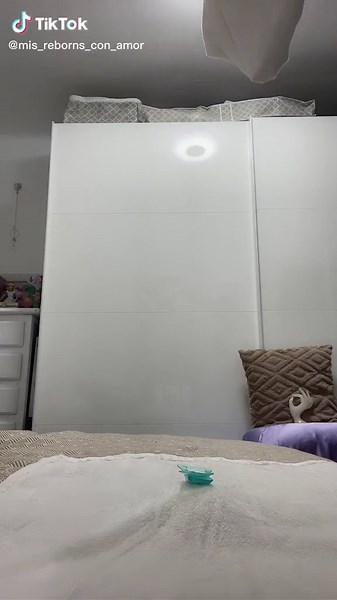 Ramona Justicia Ortega on TikTok