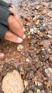 1.9M views · 25K reactions | Wow!!! Finding Natural White Topaz Gemstone In River Near The Mountain | Niphon Phopana | Facebook