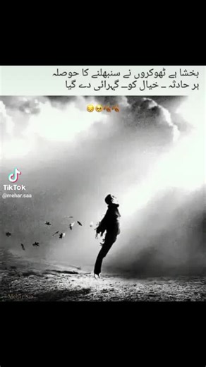 springbloom (@springbloom61)’s videos with original sound - springbloom