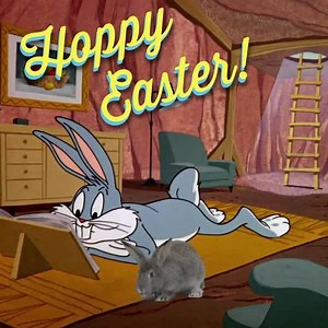 28K views · 2.1K reactions | 凌Hope you’re spending Easter with some-bunny special!凌 Happy Easter from your friends at Boomerang! | Boomerang | Facebook