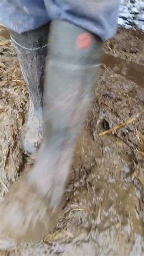 walking on manure 💩 purofort+