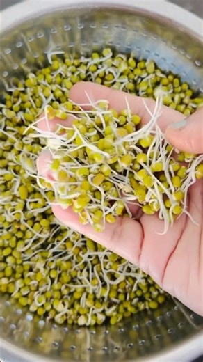 How to Sprout Moong Dal at Home 🌱 Easy & Healthy Sprouts in Seconds #shorts