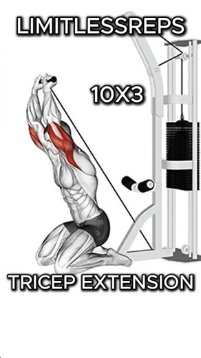 Tricep Workout | Strength and Definition