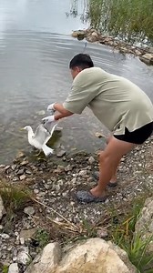 119K views · 1.4K reactions | When this seagull got tangled, this hero pulled some strings! 隸‍♂️殺 #AnimalRescue #Seagull #Birds #BirdRescue | Try Not to Laugh | Facebook