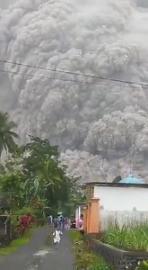 19K views · 404 reactions | #Internacional #INDONESIA ERUPCIÓN EN JAVA INDONESIA| El volcán Semeru de Indonesia ha entrado en erupción, las personas huyen para resguardar su vida. Se estima que hay más de 6,000 personas en un radio de 10 kilómetros cerca del coloso. | NUEVA ERA; Noticias | Facebook