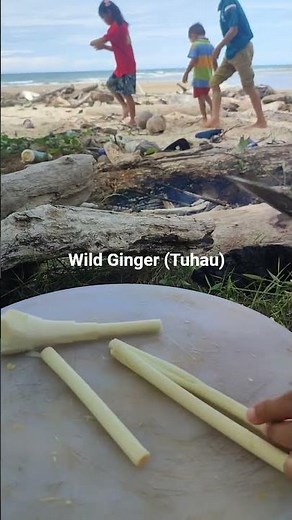 wild ginger (tuhau)