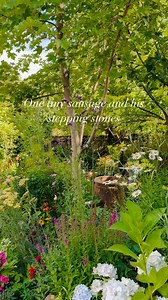 7.7K views · 484 reactions | It seemed to take me forever to lay the...