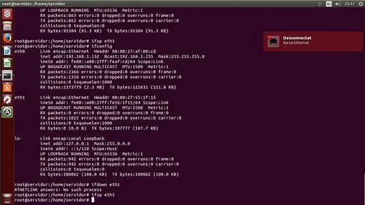 ▷ Instalar y configurar un servidor DNS Linux 【Ubuntu Bind9】