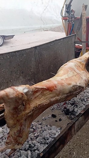 2K views · 58 reactions | Mitko Minchev on Reels | Facebook