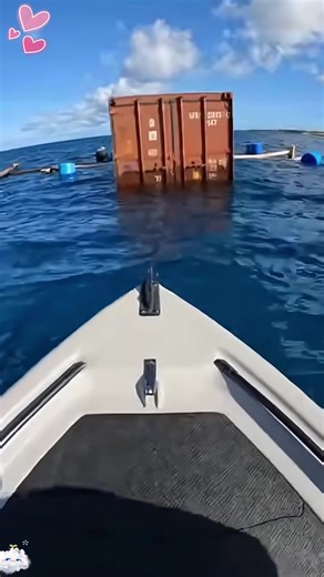 Maritime container blind boxes#sea#container#Blind box#usa#fyp
