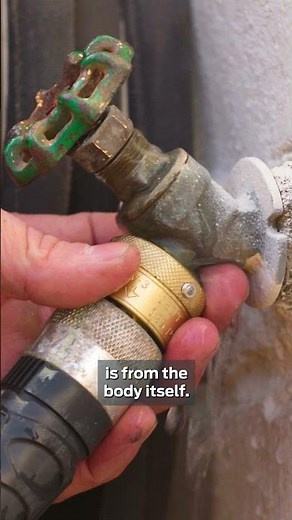 How to Spot and Repair a Leaky Hose Bibb